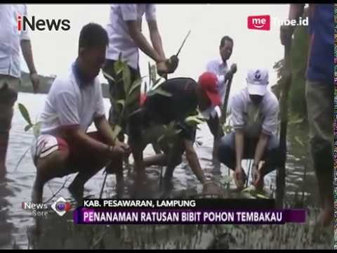 Partai Perindo Mensejahterakan, Masyarakat Merasakan Manfaat Nyatanya - iNews Sore 03/11