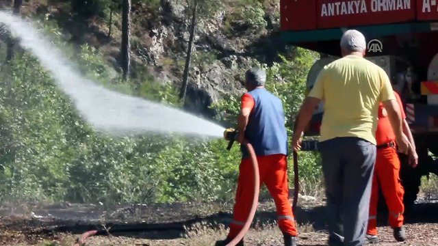 Suriye sınırında orman yangını - HATAY