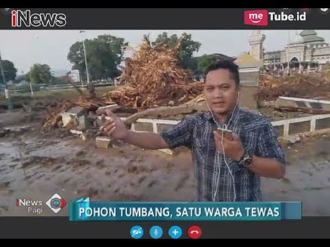 Laporan Kronologi Kejadian Tumbangnya Pohon Bringin Raksasa di Banjarnegara - iNews Pagi 09/11