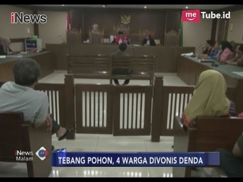 Tebang Pohon, 4 Warga Divonis Denda Hingga Rp 30 Juta - iNews Malam 10/11