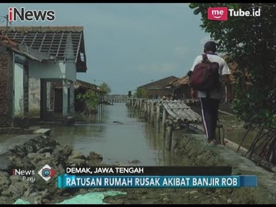 Kerusakan Lingkungan Kian Parah, Banjir Rob Menghancurkan Rumah Warga Demak - iNews Pagi 14/11