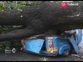 [Naas] Sebuah Bajaj & Motor Tertimpa Pohon Besar Hingga Ringsek - iNews Malam 21/11