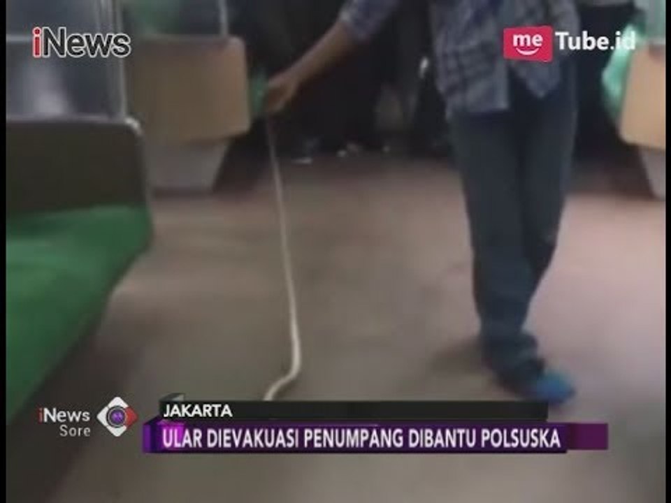 Heboh Ular di Dalam Gerbong KRL - iNews Sore 22/11