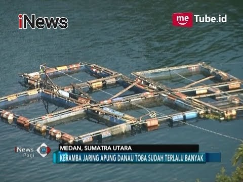 Kurangi Pencemaran di Danau Toba, Penggunaan Keramba Jaring Apung Dihentikan - iNews Pagi 24/11