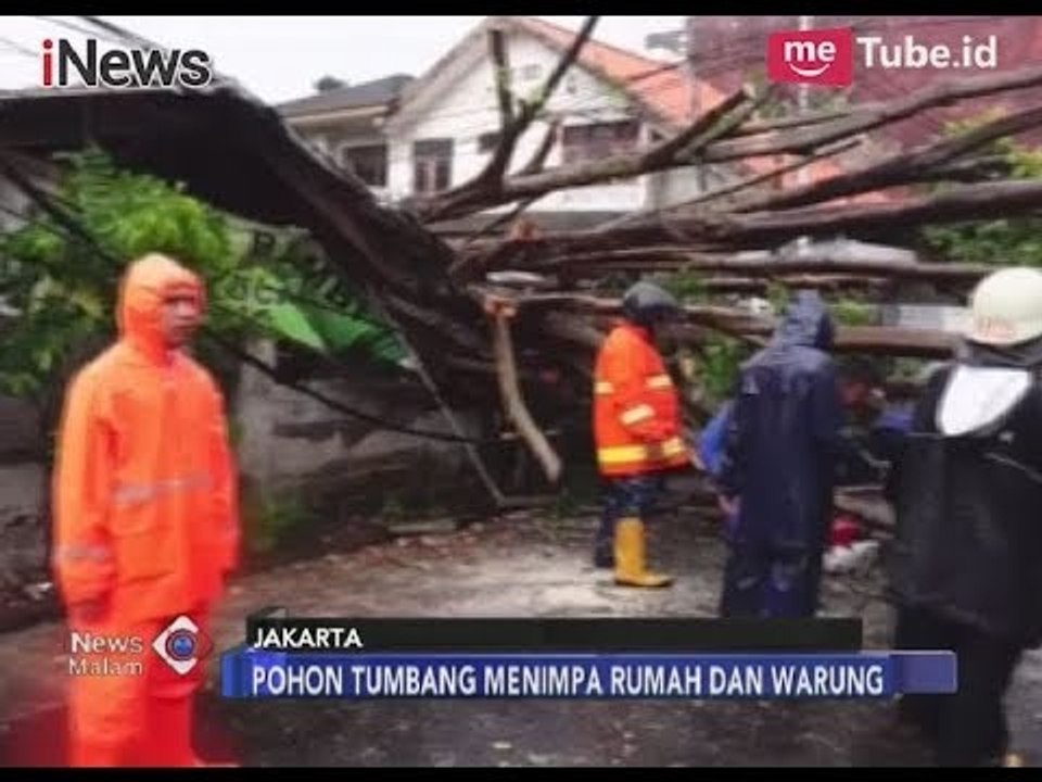 Rumah & Warung Hancur Usai Tertimpa Pohon Besar di Jakarta Pusat - iNews Malam 26/11