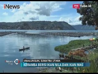 Download Video: Pudar, Keindahan Danau Toba Tercemar Oleh Keramba Jaring Apung - iNews Pagi 27/11