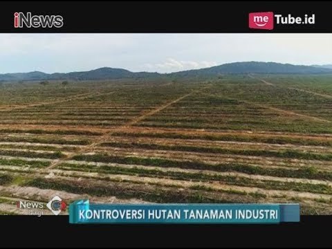Sebabkan Banjir, Warga Tolak Keberadaan HTI - iNews Pagi 08/12