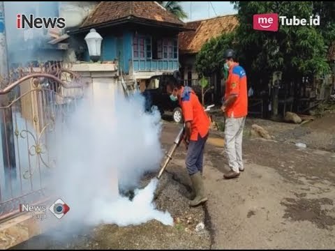 Cegah DBD, Rescue Perindo Lakukan Fogging Gratis - iNews Pagi 12/12