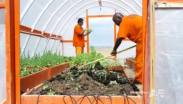 Behind Bars Rookie Year S01 E04 The Con Game