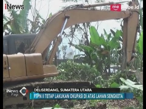 Masih Lakukan Okupasi, Warga Deli Serdang Berharap PTPN II Hormati Proses Hukum - iNews Pagi 22/01