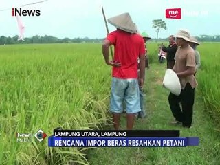 Descargar video: Tolak Impor Beras, Petani di Lampung: Kita Akan Hancur - iNews Malam 17/01