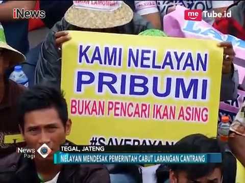 16 Ribu Nelayan Cantrang Nganggur, Kini Dapat Respon Positif dari Presiden Jokowi - iNews Pagi 18/01