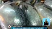 Imbas Cuaca Buruk, Harga Ikan Naik Hingga 30 Persen - iNews Siang 21/01