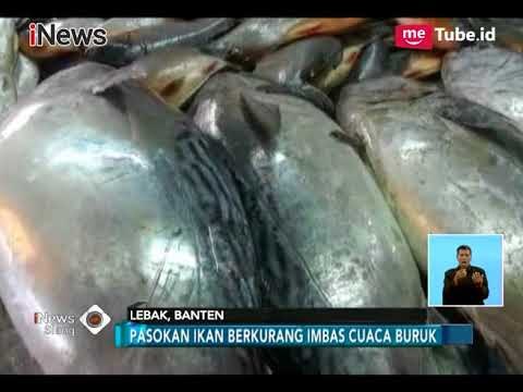 Imbas Cuaca Buruk, Harga Ikan Naik Hingga 30 Persen - iNews Siang 21/01