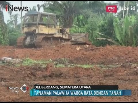 Gugatan Masih Diproses Pengadilan, PTPN 2 Enggan Tunda Pembersihan Lahan - iNews Pagi 23/01