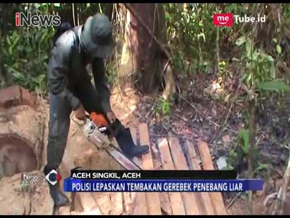Polres Aceh Kejar Pelaku Penebangan Liar dan Musnahkan Kayu Hasil Penebangan - iNews Malam 22/01