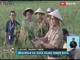 Stok Beras di Ibukota Aman, Anies Baswedan Panen Raya di Cakung - iNews Siang 23/01