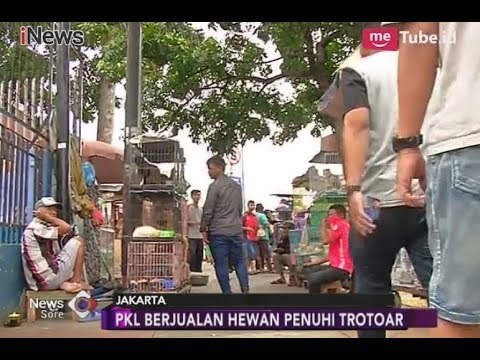 PKL Jatinegara Tak Punya Pilihan Lain, Berikut Harapan Pedagang untuk Pemerintah - iNews Sore 28/01