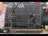[Terungkap] Adanya Penjualan Satwa Dilindungi Melalui Media Sosial - Police Line 01/02