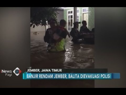 Aksi Heroik Polisi Selamatkan Nyawa Seorang Balita dari Banjir di Jember - iNews Pagi 03/02