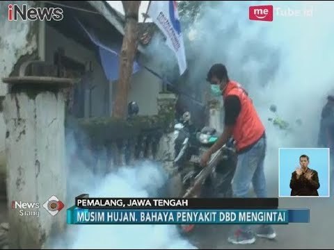 Memberikan Kesehatan Pada Warga, Perindo Terus Berikan Fogging Gratis - iNews Siang 18/02