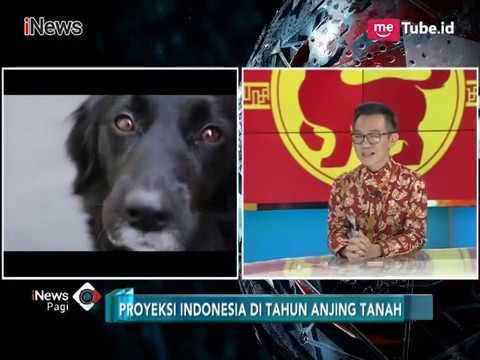 Tahun Anjing Tanah, Ini Bisnis yang Bagus Menurut Ahli Fengshui - iNews Pagi 18/02