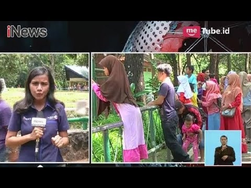 Taman Margasatwa Ragunan Tak Pernah Kehabisan Pengunjung saat Liburan - iNews Siang 18/02