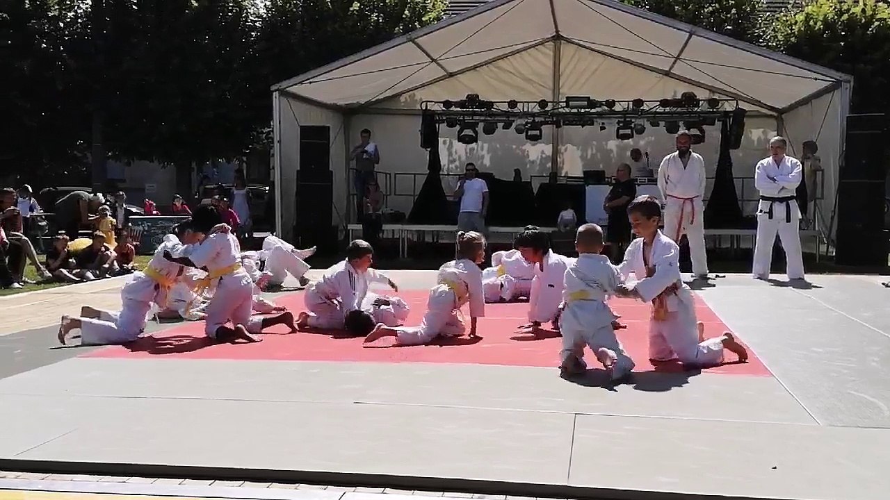 Démonstration de judo du 23/06/2018 fête de la saint Jean de Solers