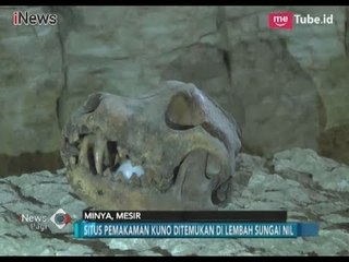 Geger!! Temuan Nekropolis Dinasti Firaun Beserta Perhiasan di Situs Tuna Al Gabal - iNews Pagi 25/02