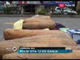 2 Kurir Narkoba Lintas Pulau Berhasil Dibekuk, Polisi Temukan 12 Kg Ganja Kering - iNews Pagi 07/03
