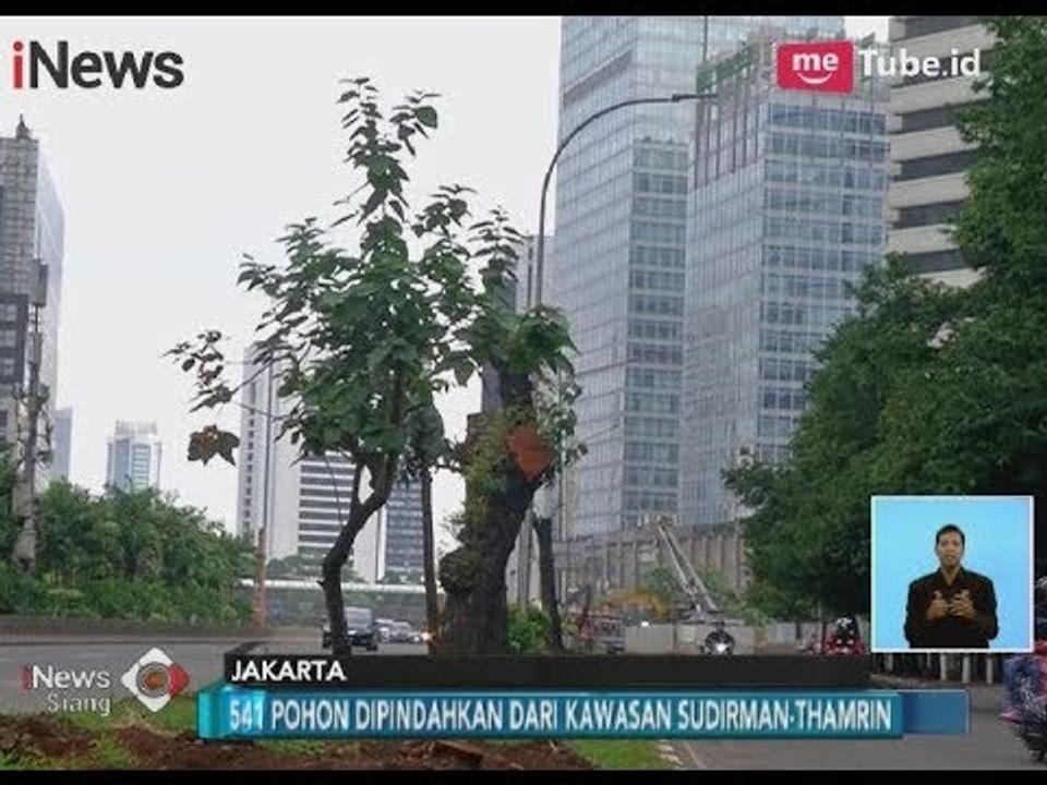 Penataan Trotoar, 541 Pohon di Kawasan Sudirman Dipindahkan ke RPTRA - iNews Siang 10/03