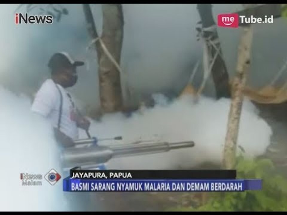Cegah DBD dan Malaria, Rescue Perindo Lakukan Fogging di Jayapura - iNews Malam 09/03