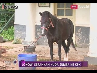 Hindari Dugaan Gratifikasi, Jokowi Serahkan Dua Kuda Asal Sumba ke KPK - iNews Sore 12/03