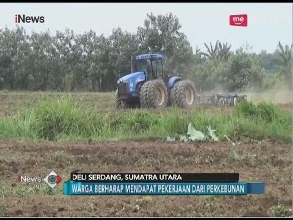 Lahan Akan Digunakan sebagai Perkebunan Tebu, Warga Deli Serdang Pasrah - iNews Pagi 14/03