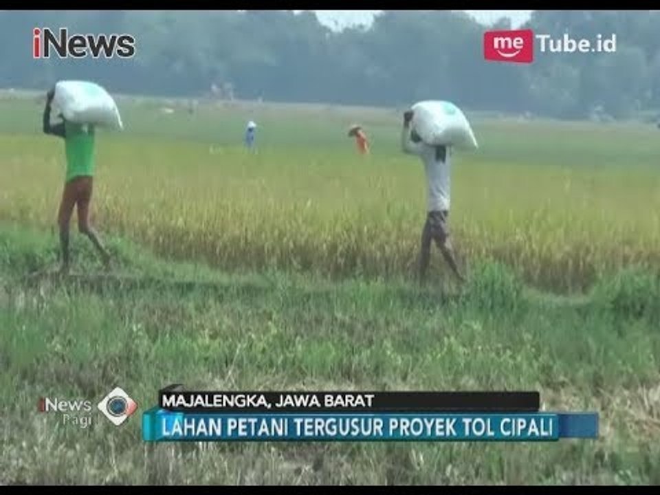 Pasrah!! Tergusur Proyek Tol Cipali, Petani di Jatiwangi Menanti Ganti Rugi Lahan - iNews Pagi 15/03