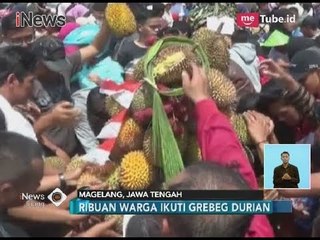 Gerebek Durian!! Ribuan Warga Magelang Rela Rebutan 19 Gunungan Buah - iNews Siang 18/03