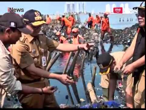 Anies Keruk Sampah Muara Angke Pakai Tangan Kosong - Special Report 20/03