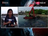 Sampah di Hutan Mangrove Muara Angke Dibuang ke Bantar Gebang - iNews Sore 20/03
