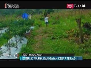 Berkat Rakyat Bicara, Pemkab Aceh Timur Janji Atasi Masalah Serangan Gajah Liar - iNews Pagi 20/03