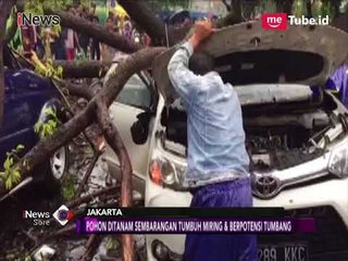 Waspadai Potensi Pohon Tumbang di Sebagian Besar Wilayah DKI - iNews Sore 23/03