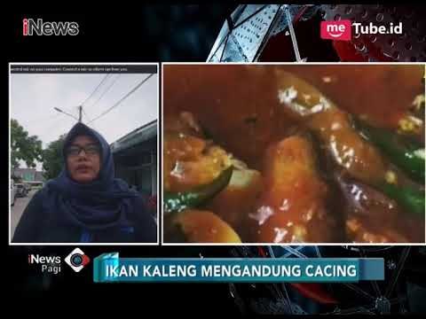 BPOM Masih Banyak Temukan Ikan Sarden Mengandung Cacing di Pasaran - iNews Pagi 24/03