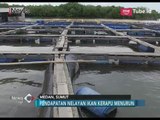 Keluhkan Peraturan KKP, Pendapatan Nelayan Kerapu Kian Menurun - iNews Pagi 23/03