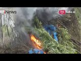BNN, Polisi dan TNI Bongkar Penemuan Ladang Ganja 2,5 Hektar Siap Panen - iNews Pagi 03/04