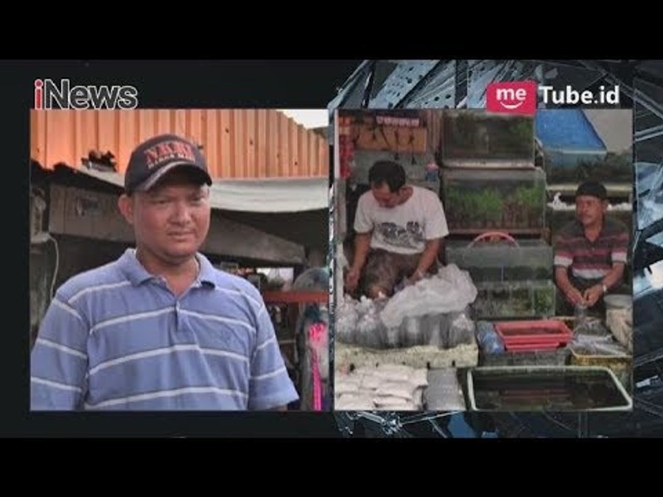 PKL Minta Penataan Jatinegara Pemprov DKI Bijak dan Tidak Rugikan Pedagang - iNews Pagi 03/04