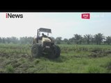 Pantai Labu Kian Memprihatinkan, Puluhan Hektar Beralih Jadi Kebun Kelapa Sawit - iNews Pagi 04/04