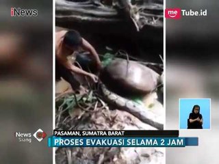 Heboh Petani Selamatkan Ular Piton Raksasa yang Terjepit Batu - iNews Siang 05/04
