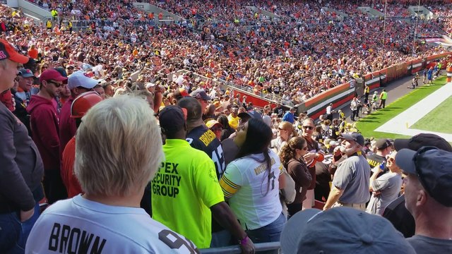 Football Fans Fighting in Stadium