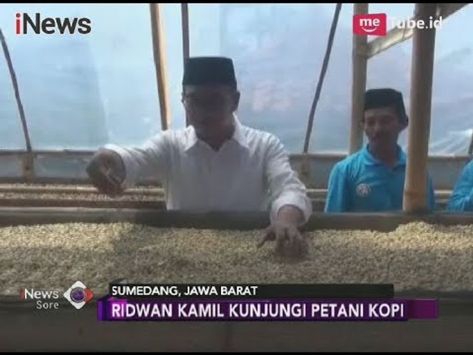 Berupaya Raih Suara Terbanyak, Kang Emil Kunjungi Petani Kopi di Sumedang - iNews Sore 16/04