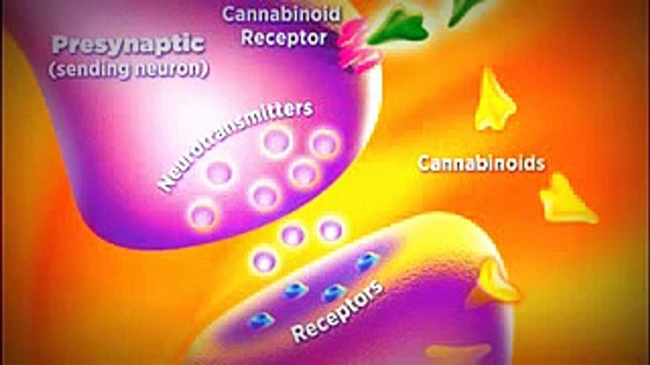 How Cannabinoids Cause Cancer Cells to Die
