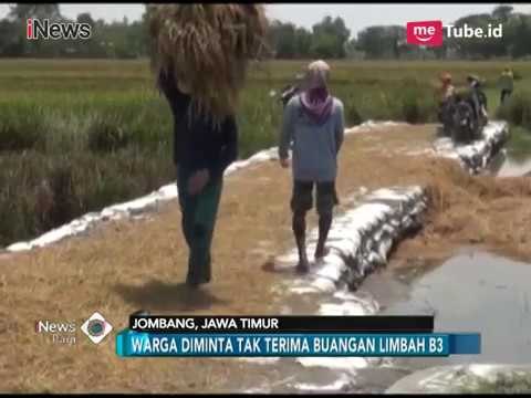 Pemkab Jombang Tindak Tegas Pembuangan Limbah B3 di Pemukiman - iNews Pagi 19/04